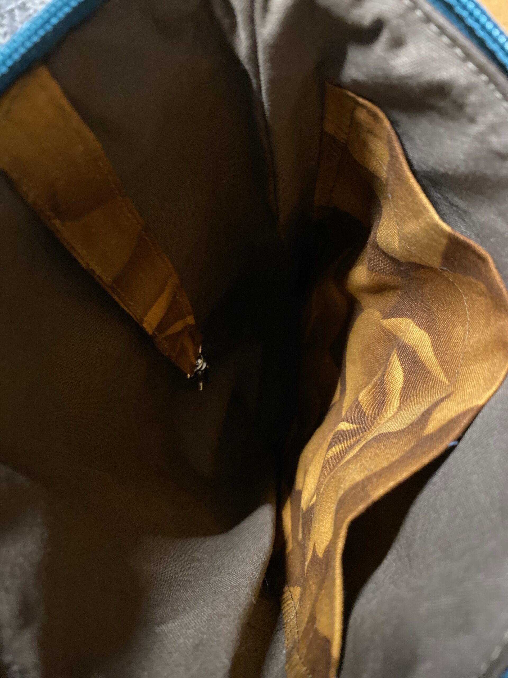 Schottisches Highland Rind – Bild 4