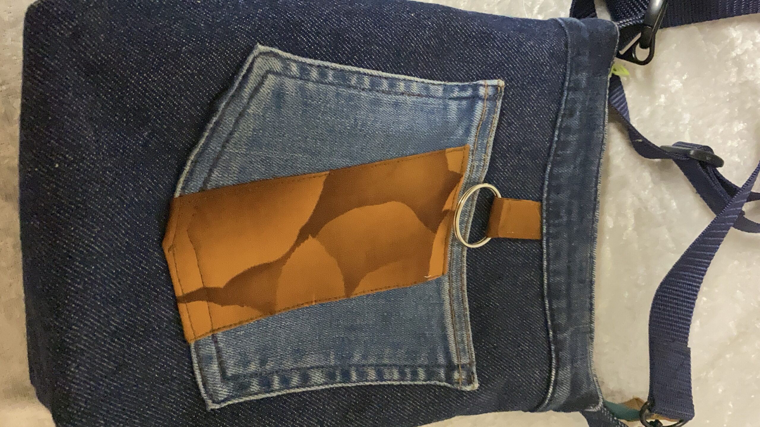 Schottisches Highland Rind – Bild 3